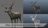 /album/a3d-modeling2/deermo-jpg1/